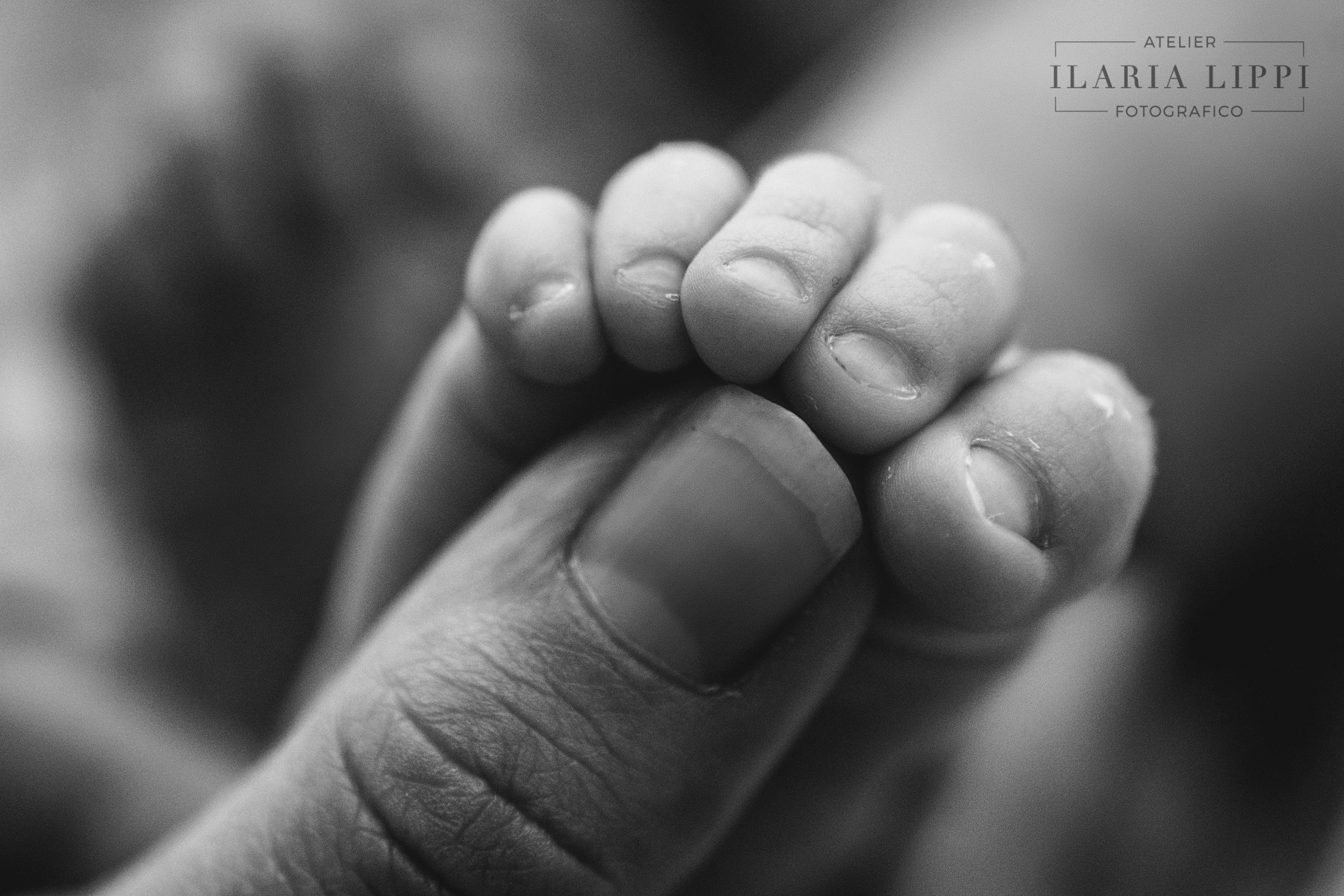 Un angolo dell'Atelier Fotografico di Livorno